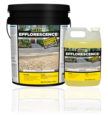ALLIANCE GATOR EFFLORESCENCE 1 GALLON