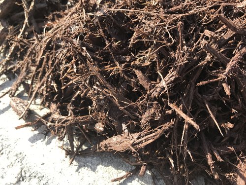 Luxury Brown