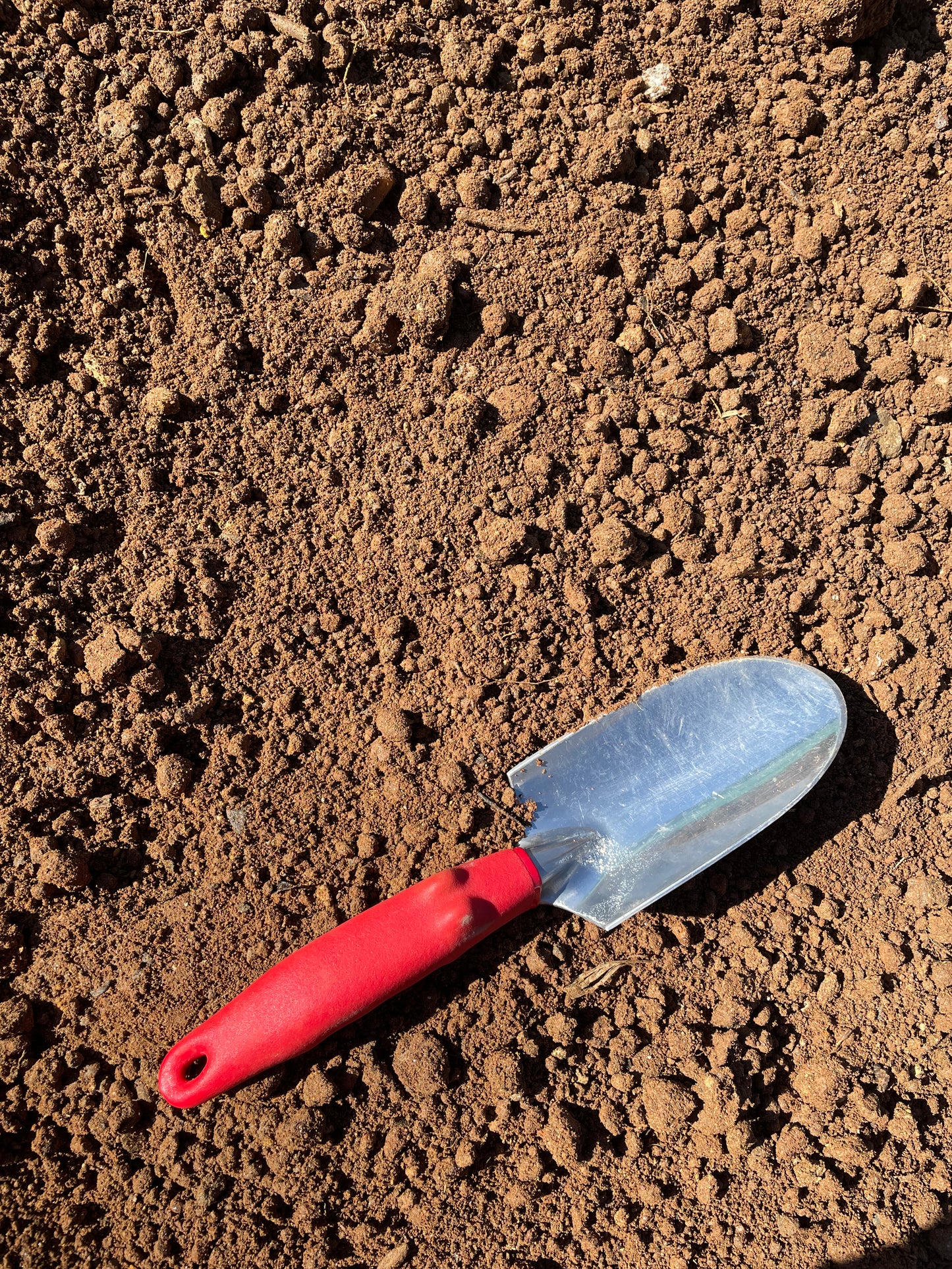 Screened Topsoil